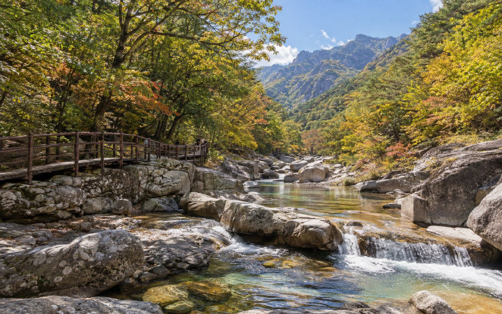 지리산 뱀사골 (AI 연출 이미지)