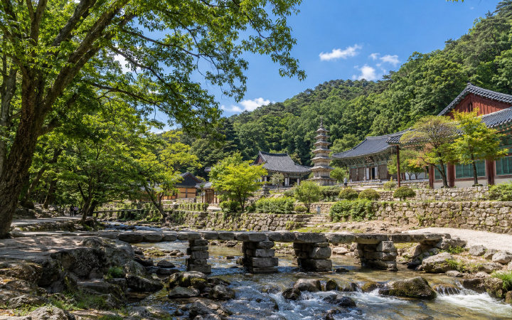 공주 마곡사 (AI 연출 이미지)