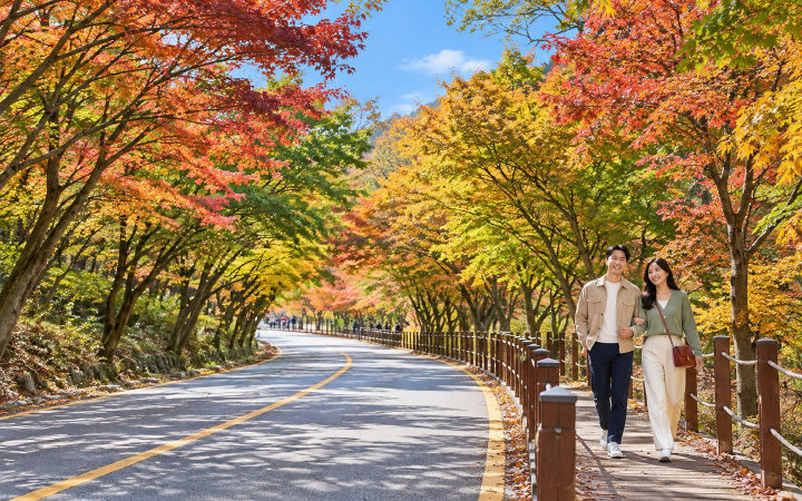 내장산 단풍 터널 (AI 연출 이미지)