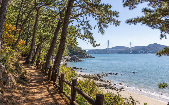 고흥 소록도 해변 솔숲 (AI 연출 이미지)